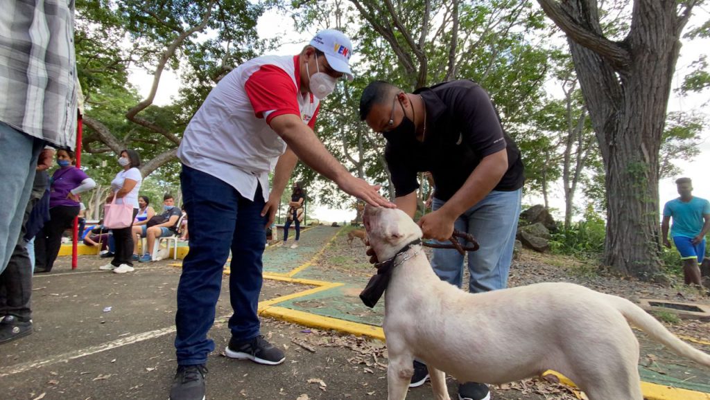 Realizan jornada de atención y consulta sobre Ley Contra Violencia Animal en Guayana